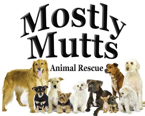 Mostly mutts animal rescue and adoption photos - See more of Mostly Mutts Animal Rescue on Facebook. Log In. or 